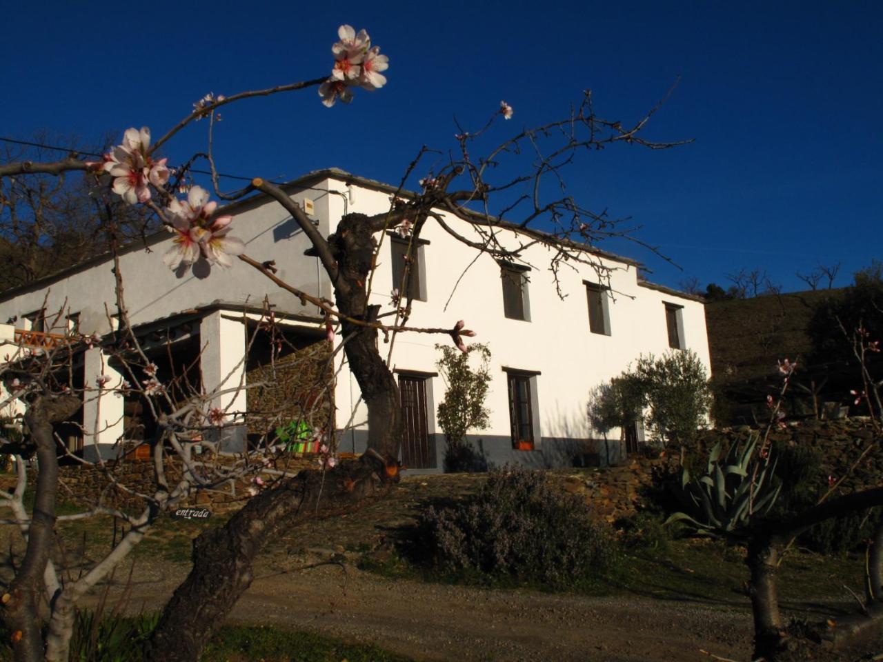 Casa Rural El Paraje De Bérchules Exterior photo